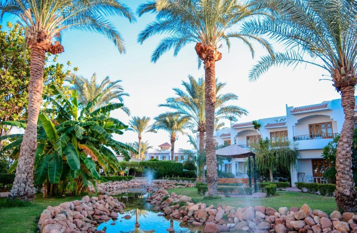 Egipt - Sinajski polotok - Sharm El Sheikh
