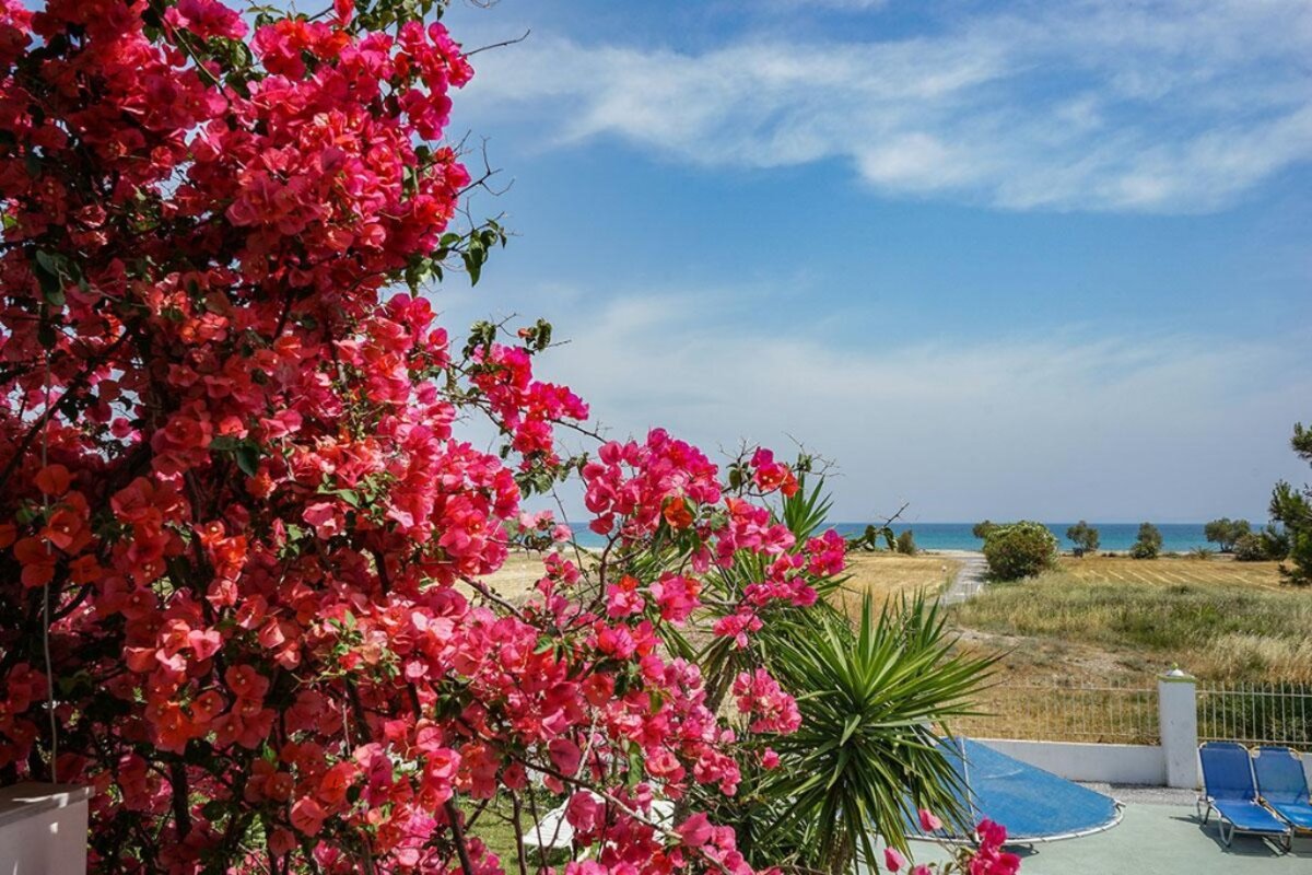 Grčija - samos&ikaria - pythagorion