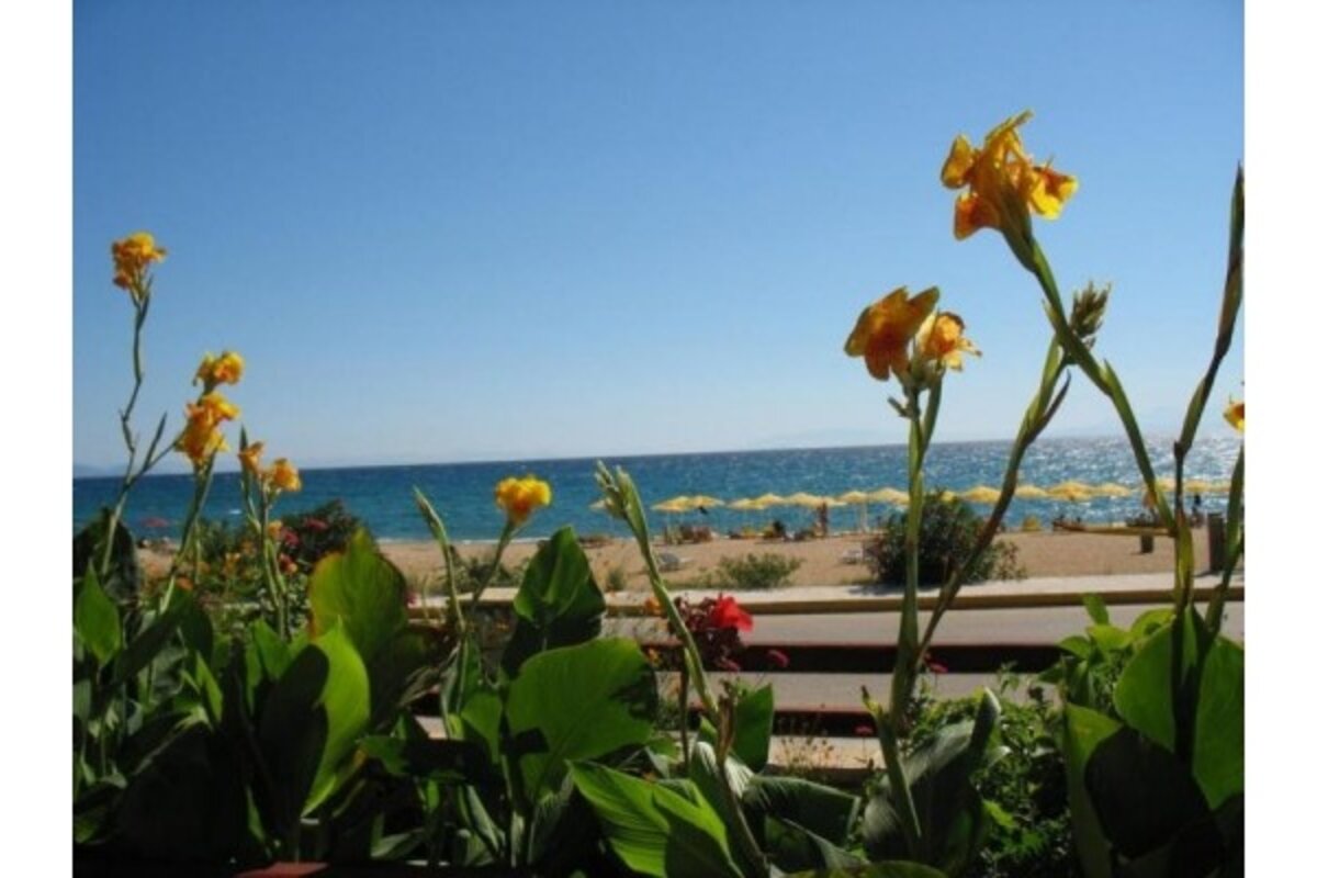 Grčija - otok kefalonija - skala