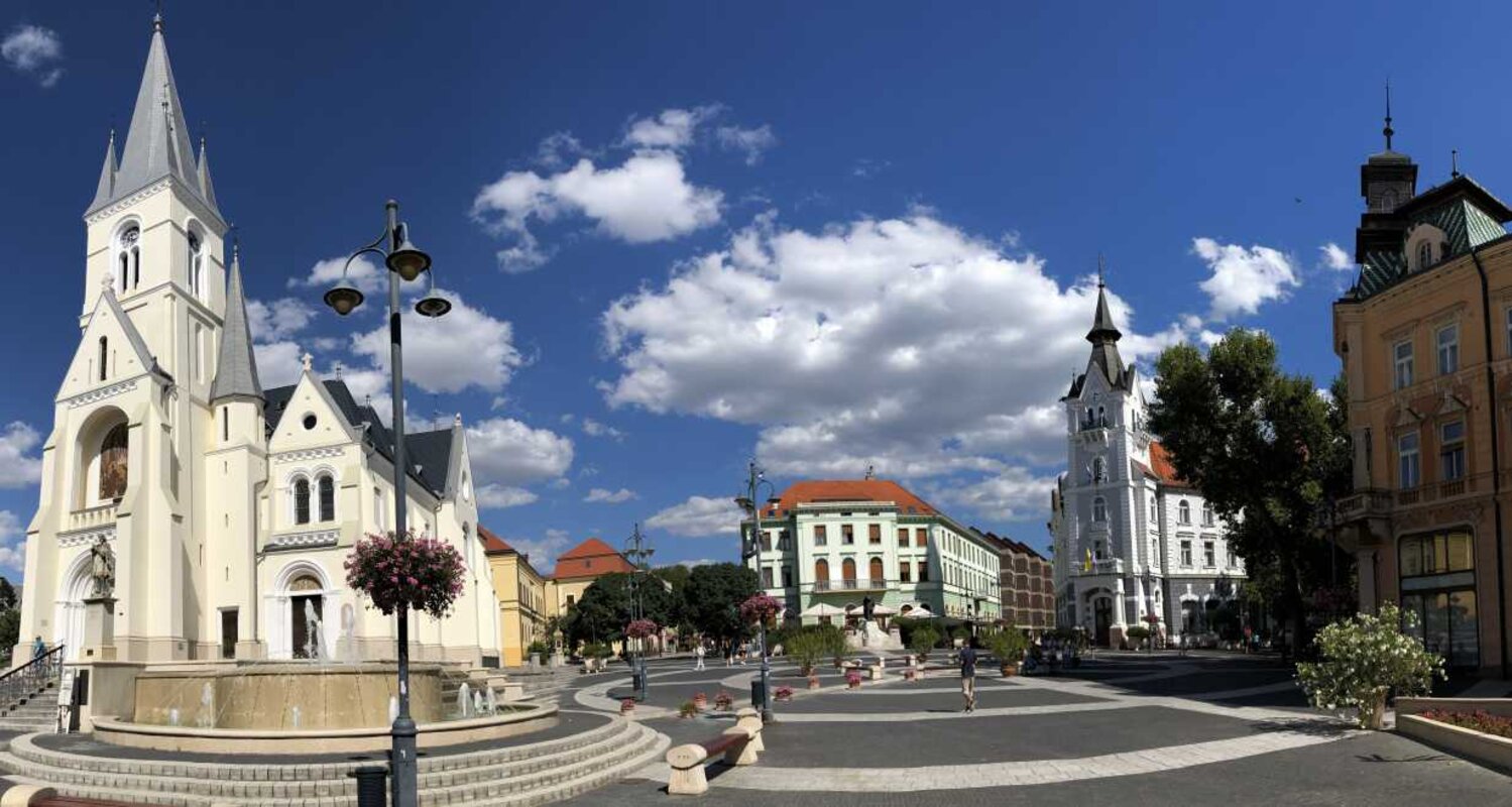 Kaposvar, Nagykanizsa in muzej na prostem
