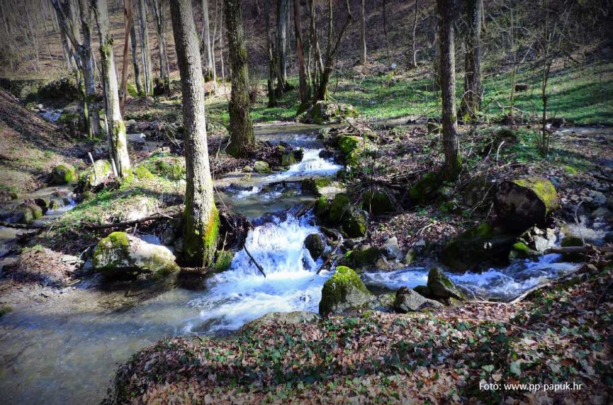 Naravni park Papuk in Slavonski Brod
