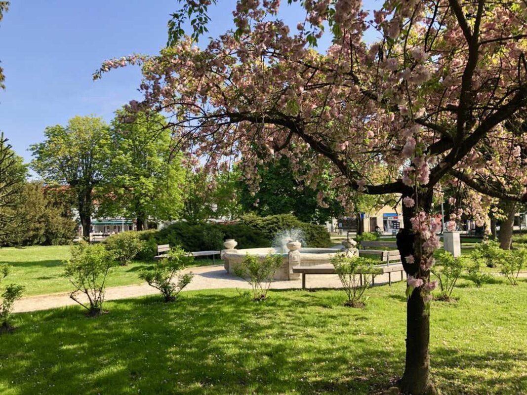 Ludbreg, Podravina in Koprivnica