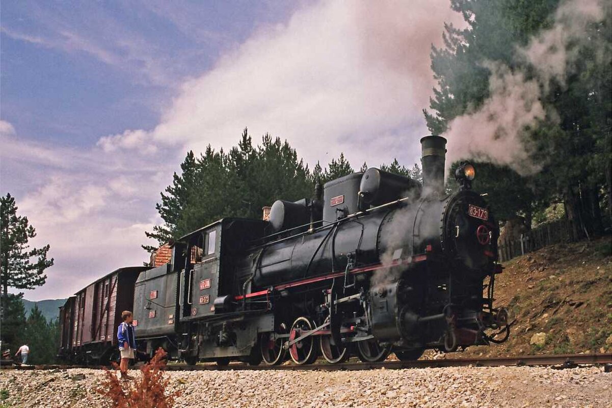 Križarjenje po Drini (NP Tara – vožnja z vlakom po Šarganski osmici)