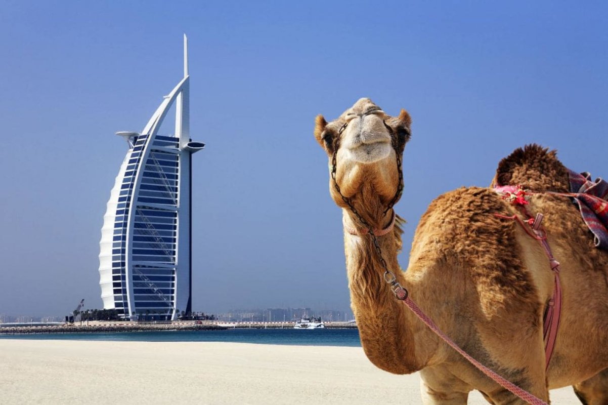 DUBAJ IN ABU DHABI