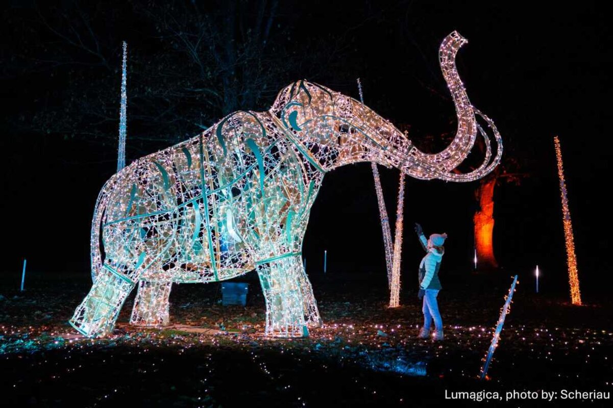 Predbožični Mariazell in svetlobni park Lumagica
