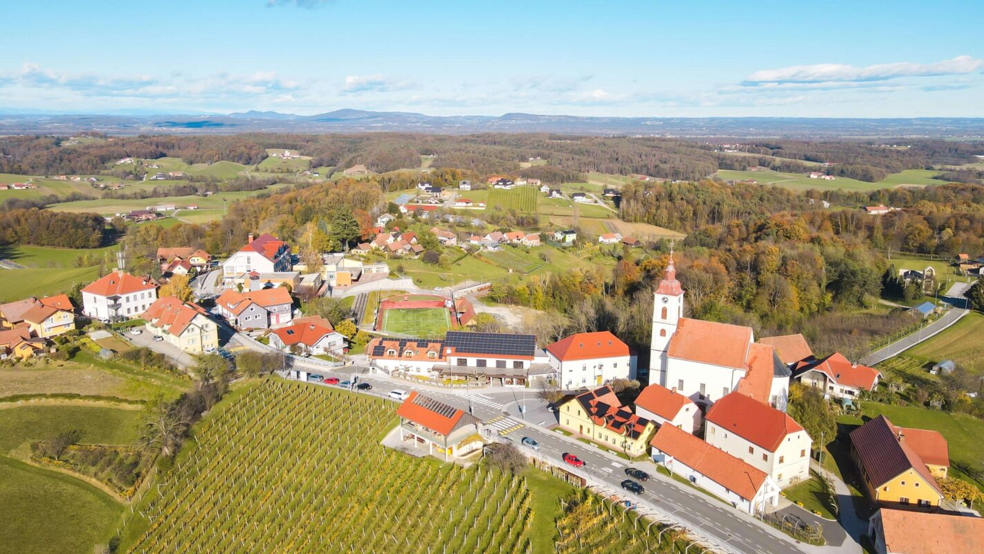 MARTINOVANJE V SLOVENSKIH GORICAH