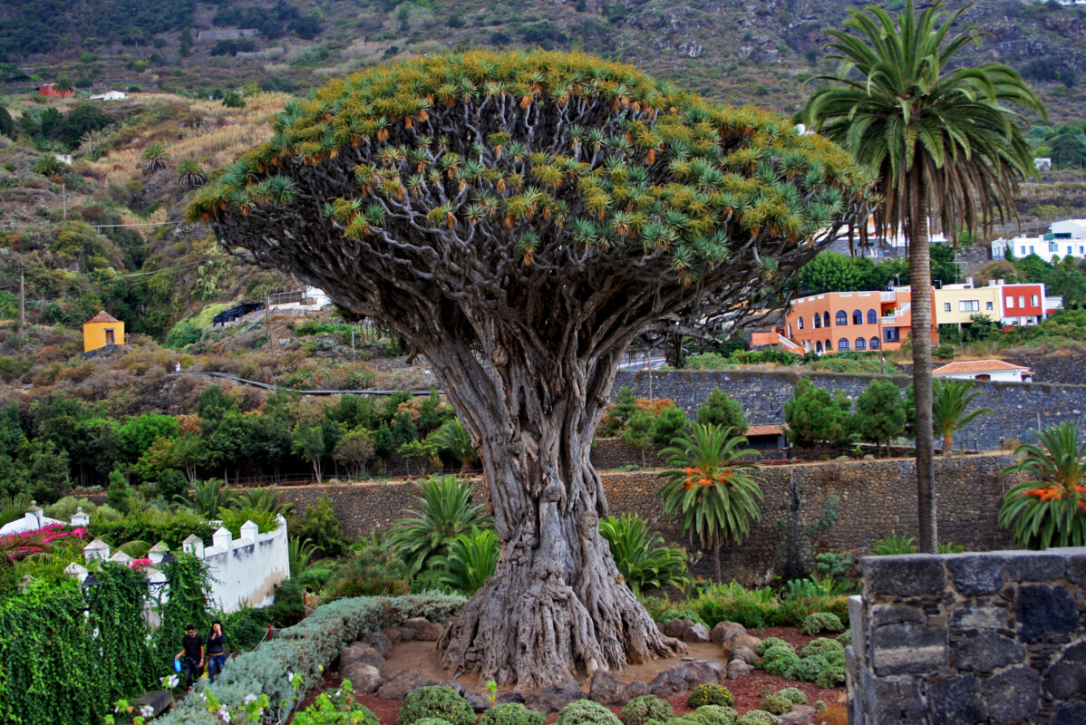 Aktivne počitnice na otoku Tenerife 