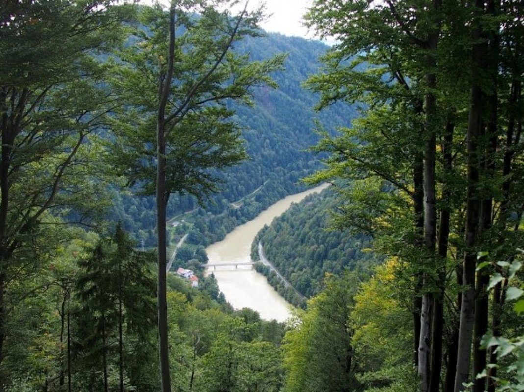 Dravska dolina in koroška