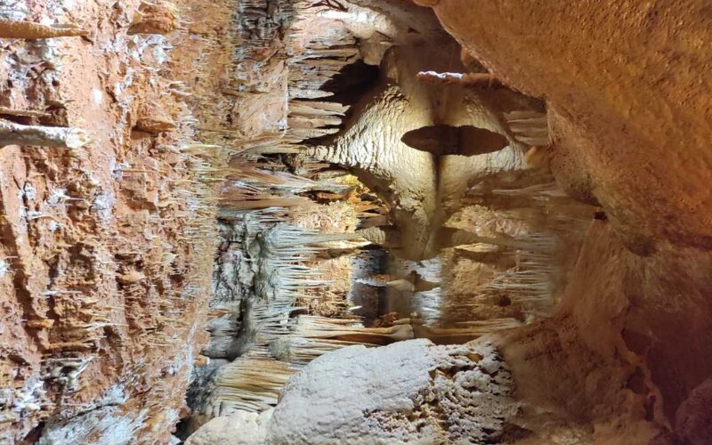 Poreč, jama Baredine in Tractor Story